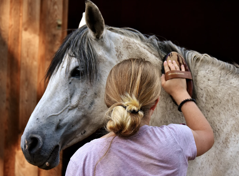 humidité cheval